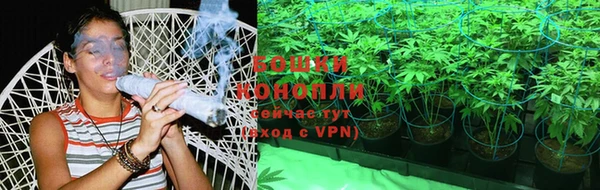 стафф Белокуриха