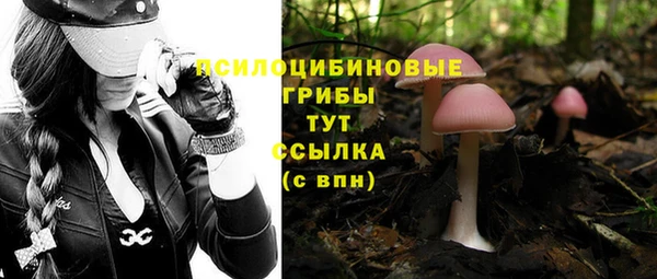 стафф Белокуриха